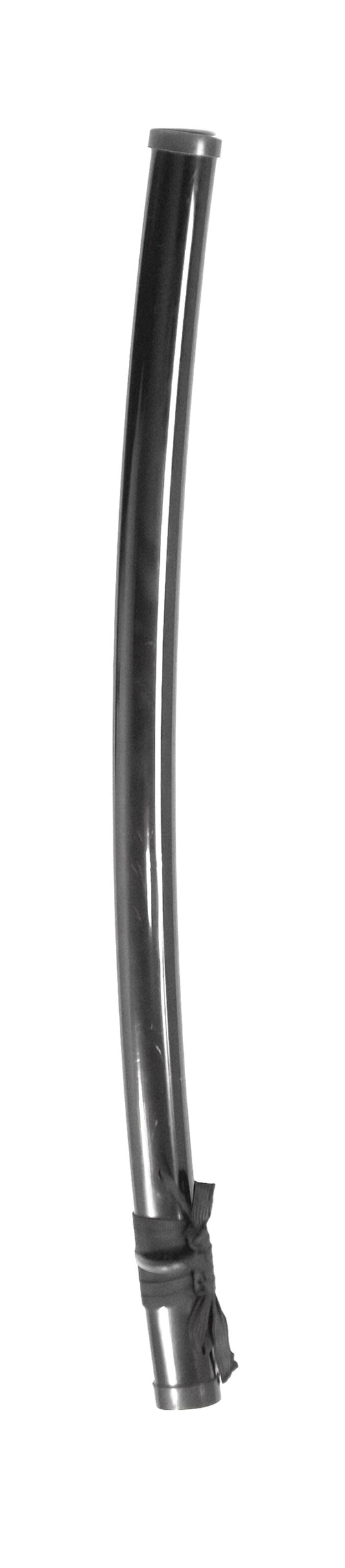 Regular scabbard